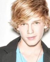 /album/galeria-de-fotos/cats111-1-jpg/